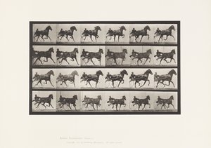 Placa 613. Trotting; Sulky; Sorrel Mare Nellie Rose de Eadweard Muybridge