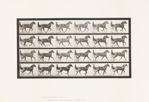 Placa 614. Trotando; Quebrando para Gallop; Sorrel Mare Flode Holden de Eadweard Muybridge