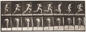 Placa 61. Correndo em Velocidade Máxima (Ação Imperfeita, Sapatos) de Eadweard Muybridge