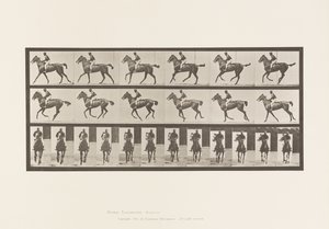 Placa 621. Canter; Saddle; Thoroughbred Bay Mare Annie 6 de Eadweard Muybridge
