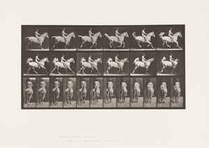 Placa 622. Canter; Selim; Cavaleiro, 43 anos, Nu; cavalo cinzento Smith, 1885 de Eadweard Muybridge