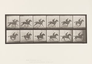 Placa 624. Galope; Sela; Margarida Bay Horse Daisy de Eadweard Muybridge
