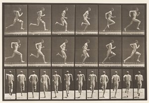Placa 62. Correndo a toda velocidade., 1872-1885 de Eadweard Muybridge