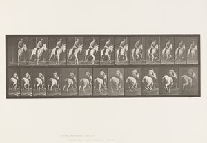 Placa 635. Galope; Sela; Égua Cinzenta, Pandora de Eadweard Muybridge