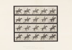 Placa 636. Saltar um obstáculo; Sela; Preparar para o salto de Eadweard Muybridge