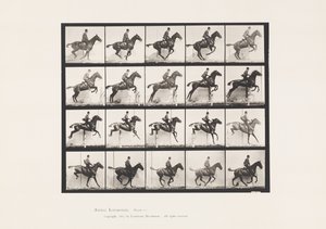 Placa 640. Saltar a Hurdle; Saddle; Bay Horse Horse Daisy de Eadweard Muybridge