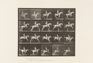 Placa 642. Saltando um Obstáculo; Selim; Cavaleiro, 105, Nu; Mare cinza, 1885 de Eadweard Muybridge
