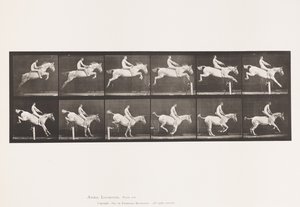 Placa 643.Jumping a Hurdle; Bareback; Clearing e Landing; de Eadweard Muybridge