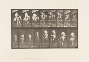 Placa 644. Saltar um obstáculo; Sela; Desembarque e Aterragem de Eadweard Muybridge