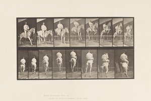 Placa 645.Jumping a Hurdle; Saddle; Clearing e Landing de Eadweard Muybridge