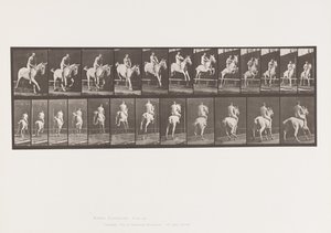 Placa 647. Saltar um obstáculo; Bareback; Cavaleiro de Eadweard Muybridge