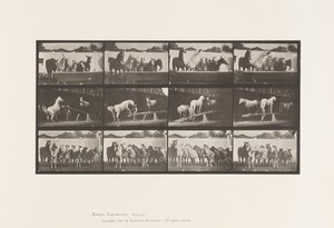 Placa 651.A, Tocando o sino; B, Tábua de Teeter; C, Perfuradora Militar de Eadweard Muybridge