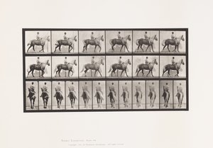 Placa 653. Andar a pé; Sela; Pés Manco, Frente Direita; Pele de Cavalo de Eadweard Muybridge