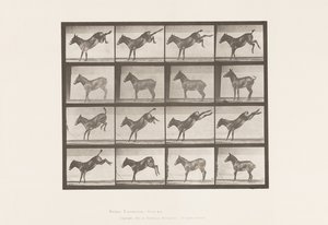 Placa 658. Mula; A, chutando; B, chutando Ruth de Eadweard Muybridge