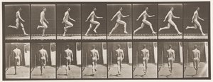 Placa 65. Correndo a toda velocidade., 1872-1885 de Eadweard Muybridge