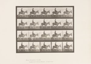 Placa 666. Rabo; Andar; Sela; Uma Rapariga a Montar, Jardim Zoológico de Eadweard Muybridge