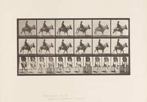 Placa 667. Rabo; Andar a pé; Sela; Um Rapaz a Montar, Jardim Zoológico de Eadweard Muybridge