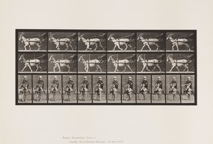 Placa 678. Cabra; Trotting, em Sulky de Eadweard Muybridge
