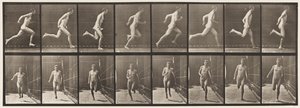 Placa 67. Corrida, 1872-1885 de Eadweard Muybridge