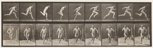Placa 68. Corrida, 1872-1885 de Eadweard Muybridge