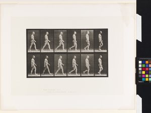 Placa 6.Caminhada de Eadweard Muybridge