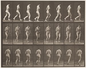 Placa 70. Corrida, 1872-1885 de Eadweard Muybridge