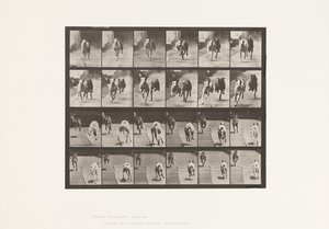 Placa 711. Cães; Duas Corridas; A, B; Cães de Corrida, Ike & Maggie de Eadweard Muybridge