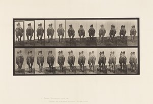 Prato 741. Camelo Bactriano; A, Caminhada; B, Racking de Eadweard Muybridge