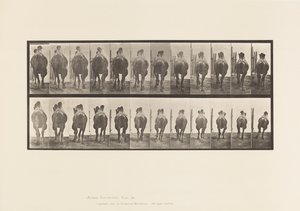 Prato 742. Camelo Bactriano; A, Racking; B, Galloping de Eadweard Muybridge