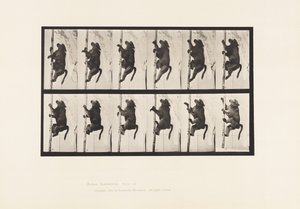 Prato 749. Babuíno; Escalada de um Polo de Eadweard Muybridge