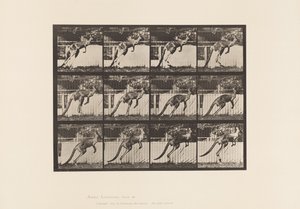 Prato 753. Canguru; Salto de Eadweard Muybridge