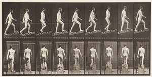 Placa 75. Inclinação Ascendente, Ângulo 1 em 4, 1872-1885 de Eadweard Muybridge
