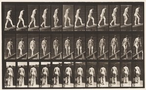 Placa 76. Inclinação Ascendente de Eadweard Muybridge