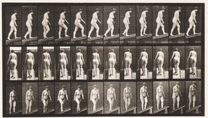 Placa 77. Inclinação Ascendente de Eadweard Muybridge