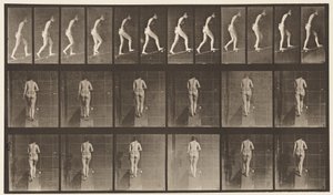 Placa 79. Inclinação Ascendente de Eadweard Muybridge