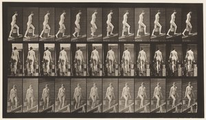 Placa 81. Inclinação Ascendente. de Eadweard Muybridge
