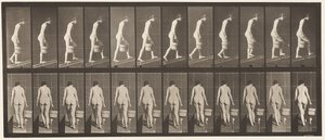 Prato 84. Inclinado Ascendente, Balde de Água na Mão Direita de Eadweard Muybridge