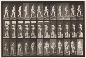 Placa 86. Inclinação Ascendente de Eadweard Muybridge