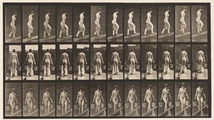 Placa 87. Inclinação Ascendente, Balde de Água em Cada Mão de Eadweard Muybridge