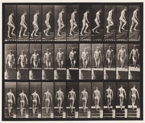 Placa 88. Escada Ascendente, 1872-1885 de Eadweard Muybridge