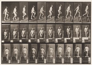 Placa 90. Escadas Ascendentes de Eadweard Muybridge