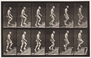 Placa 91. Escadas Ascendentes de Eadweard Muybridge