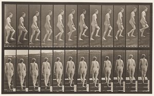 Placa 92. Escadas Ascendentes de Eadweard Muybridge