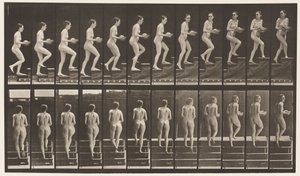 Placa 94. Escadas ascendentes olhando ao redor; Bacia nas mãos de Eadweard Muybridge