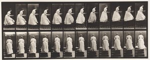 Placa 95. Escadas, uma bacia nas mãos, 1885 de Eadweard Muybridge