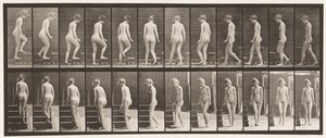 Placa 98. Virando e subindo escadas, 1872-1885 de Eadweard Muybridge