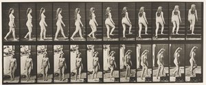 Placa 99. Escadas giratórias e ascendentes de Eadweard Muybridge