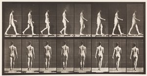 Placa 9. Caminhada, 1872-1885 de Eadweard Muybridge