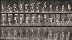Prancha número 171. Subir para um cavalete, saltar para baixo e virar-se de Eadweard Muybridge