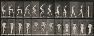 Prancha número 180. Subir para uma cadeira e passar por cima dela de Eadweard Muybridge